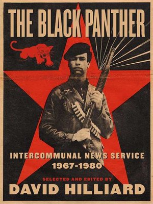 cover image of The Black Panther